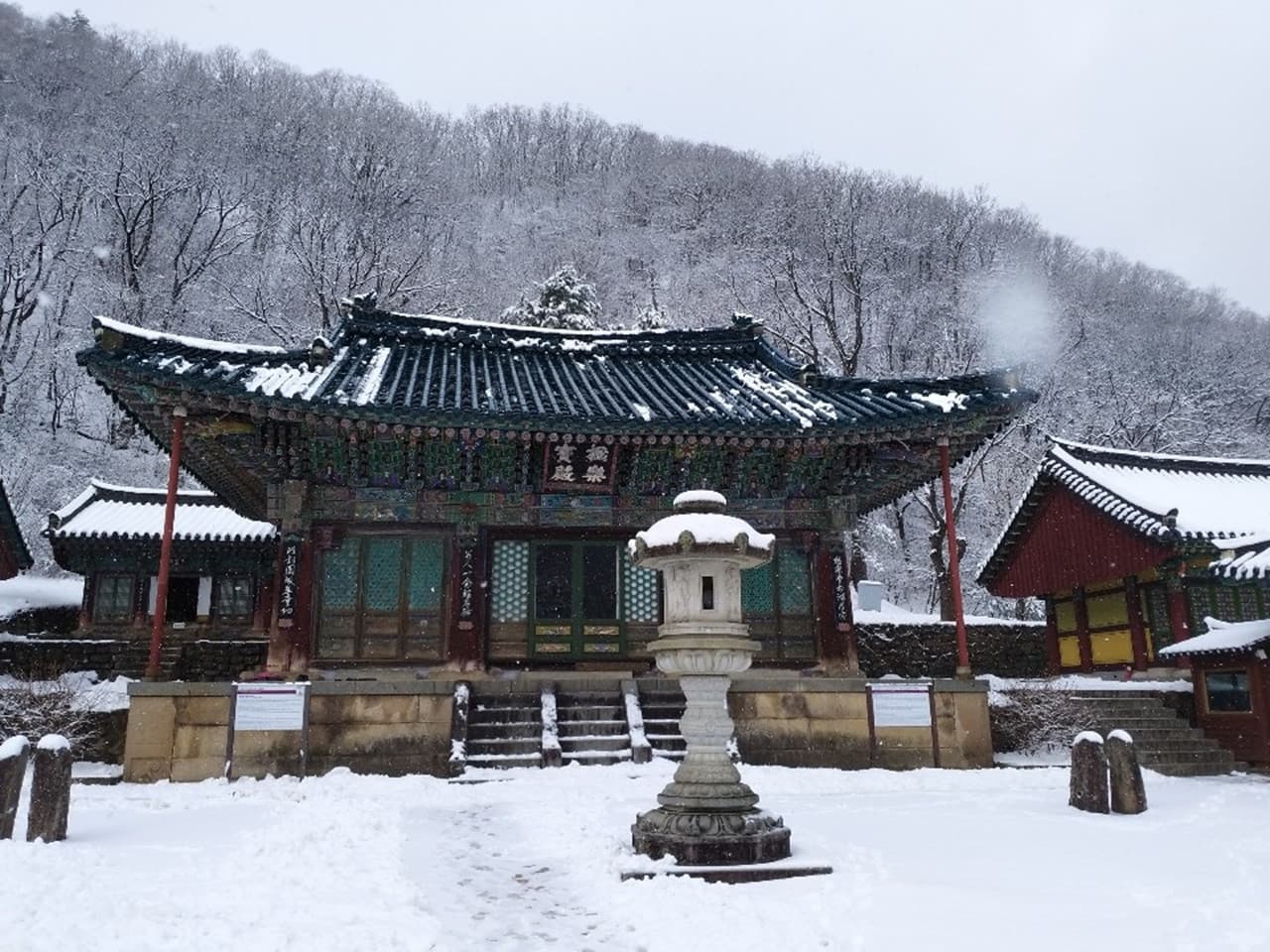 Nami Island and Mount Seorak Full-Day Tour from Seoul