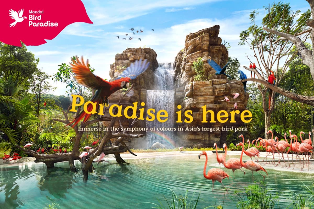 COMBO: River Wonders + Bird Paradise Ticket