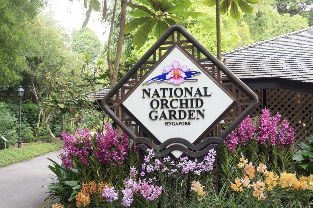National Orchid Garden Ticket