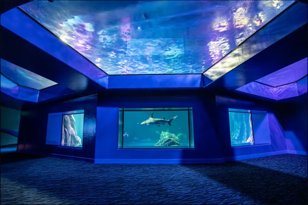 Georgia Aquarium: Fast Track Ticket