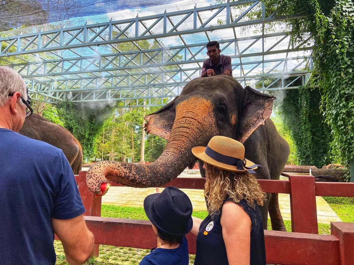 Batu Caves and Kuala Gandah Elephant Sanctuary Full-Day Tour from Kuala Lumpur