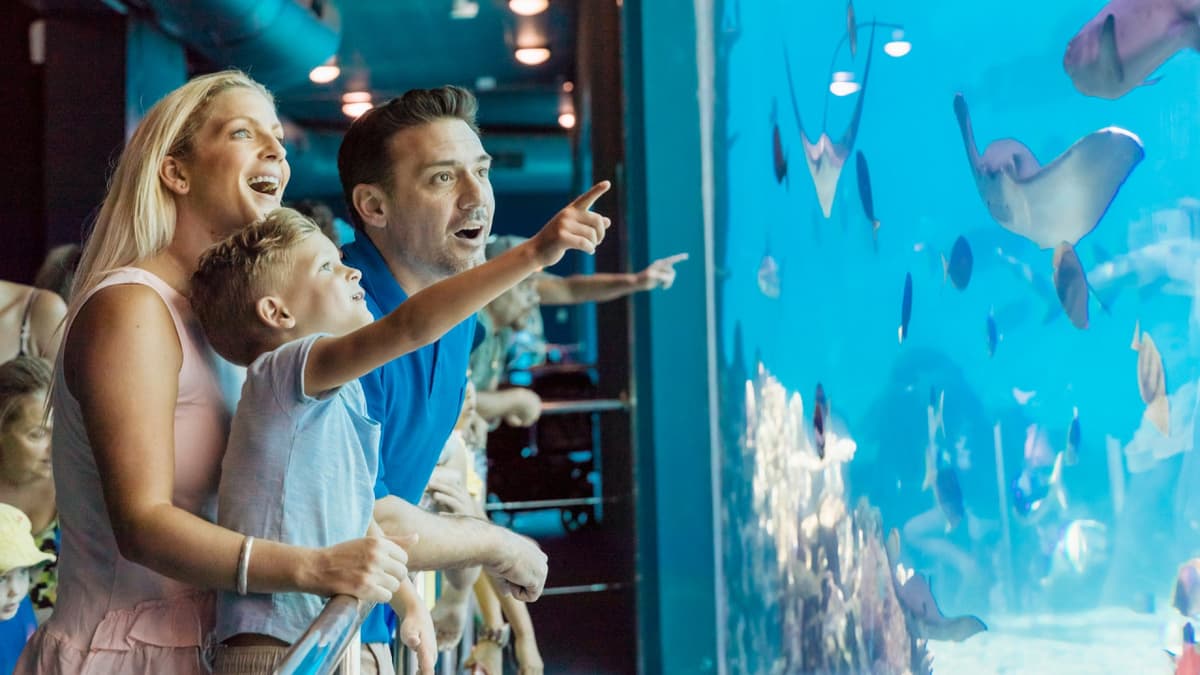 Warner Bros. Movie World, Sea World, and Wet'n'Wild Multiday Pass