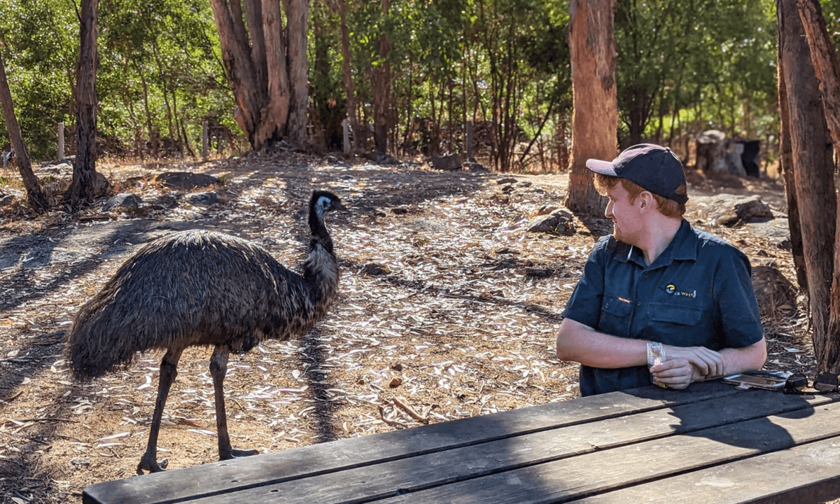Grampians National Park Day Tour from Melbourne