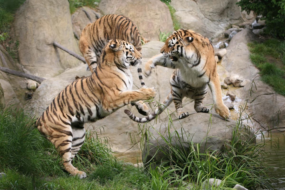 Go City Dublin All-Inclusive Pass: Save up to 50% on Attractions
