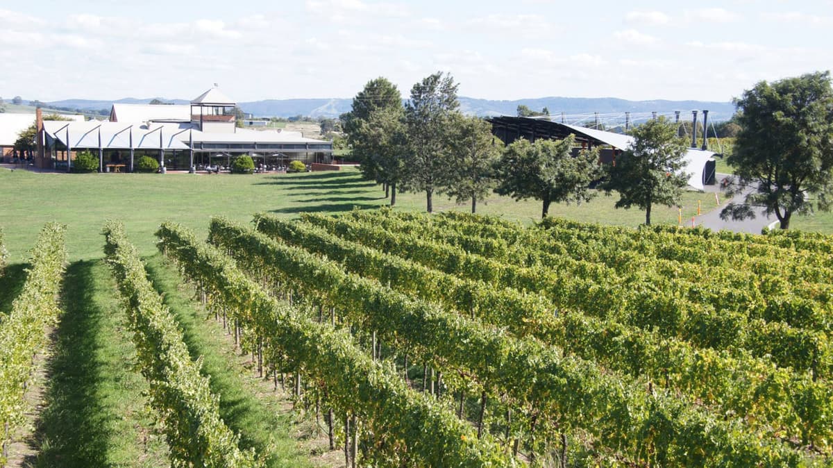 Mount Lofty Ranges and Adelaide City Tour