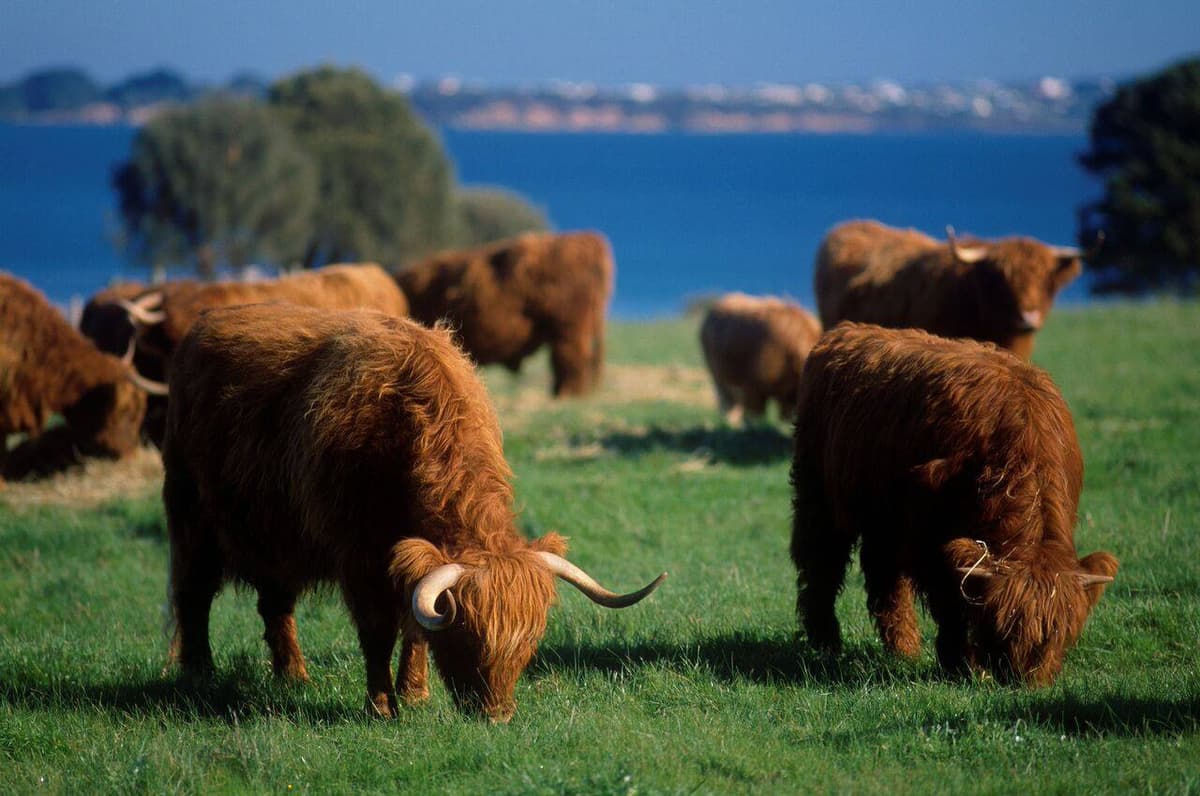 Phillip Island Nature Parks - Three-Park Pass