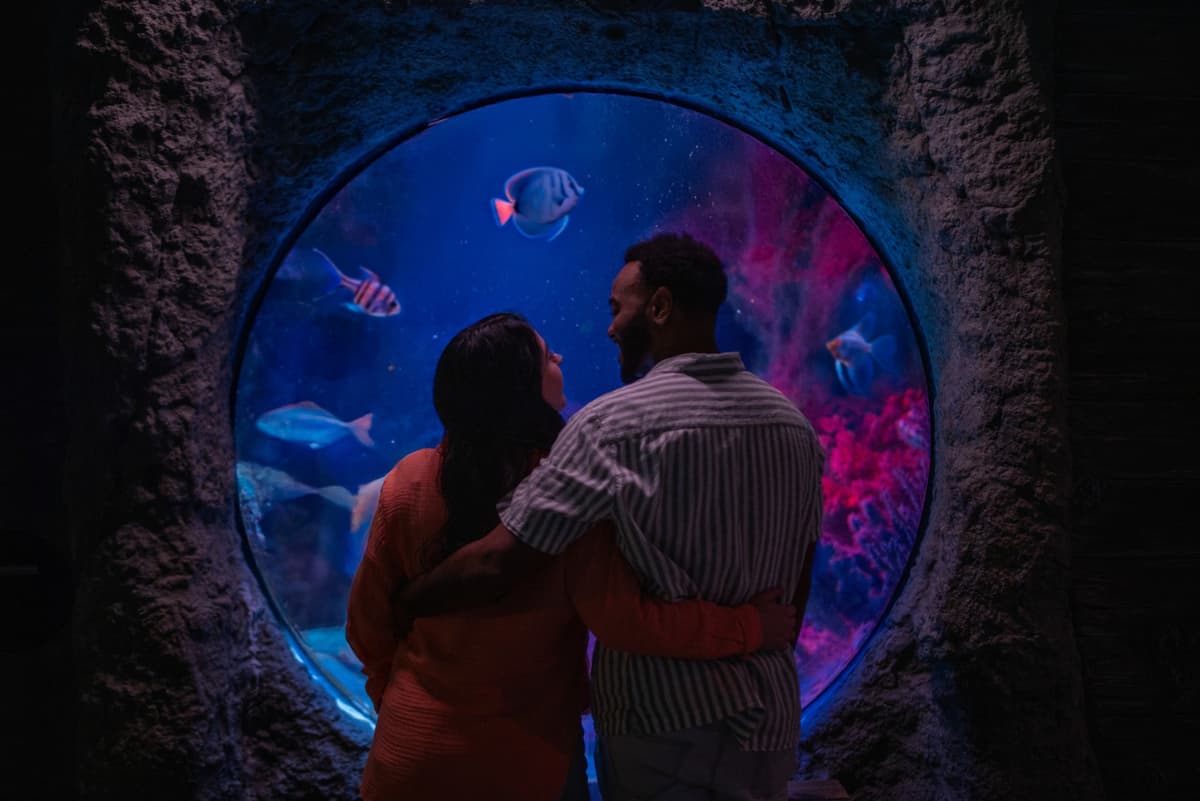 COMBO: The Orlando Eye + SEA LIFE Orlando Aquarium Ticket