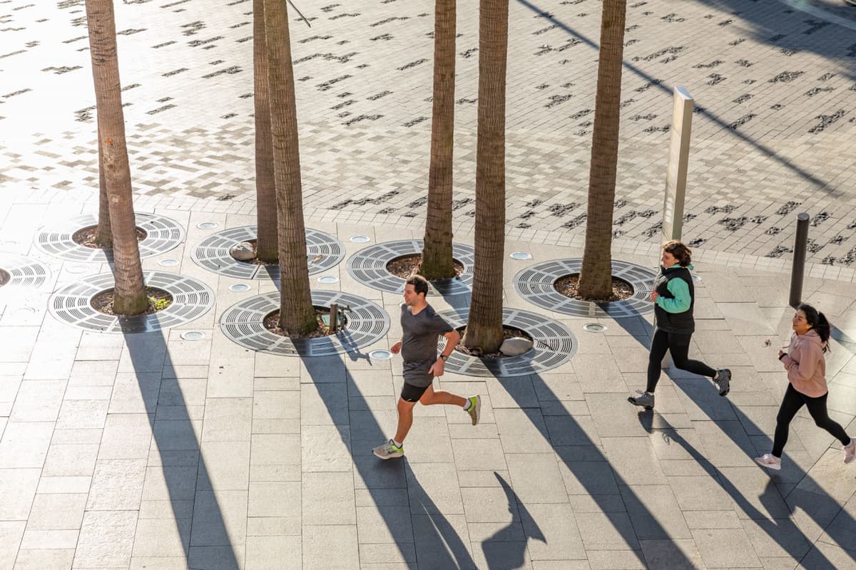 Sydney Harbour Running Tour