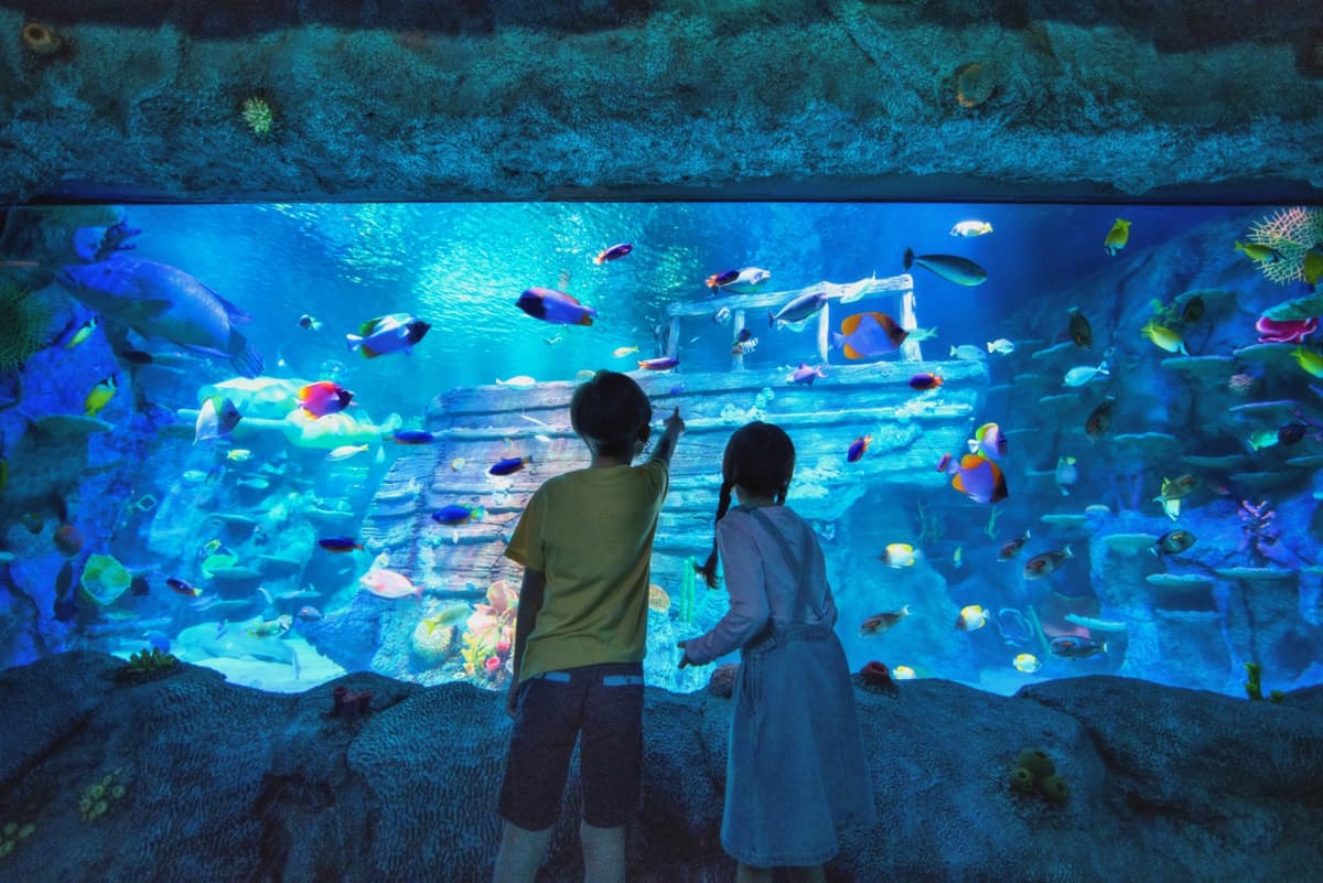 Go City Singapore All-Inclusive Pass: Save up to 50% on Attractions