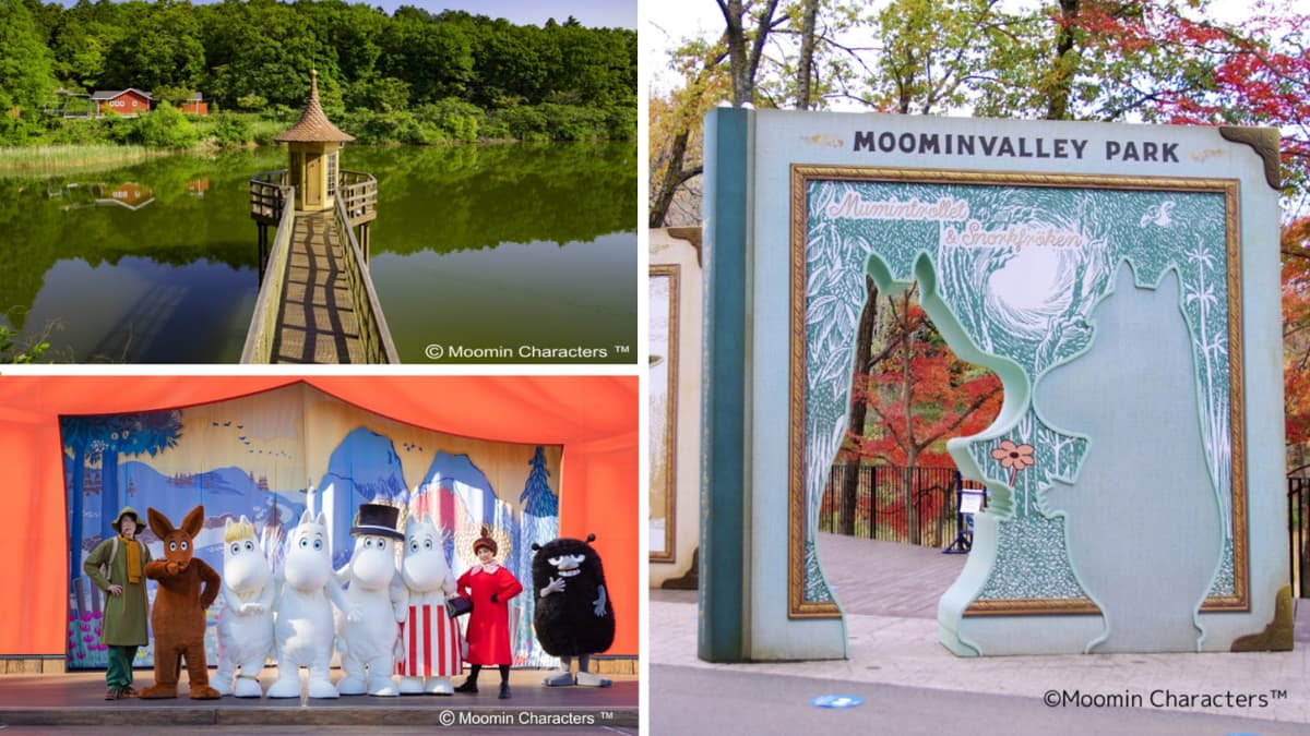 Have Fun in Japan Pass - 2 Weeks Free Pass