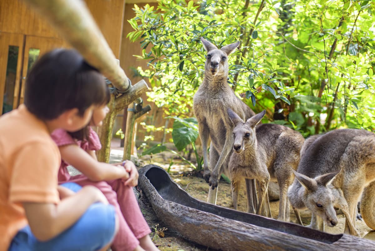 2-Park Destination Pass: Singapore Zoo + Exploria Ticket