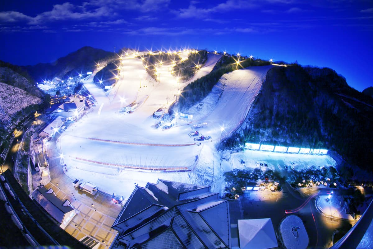 Elysian Gangchon Ski Resort and Nami Island Full-Day Tour from Seoul