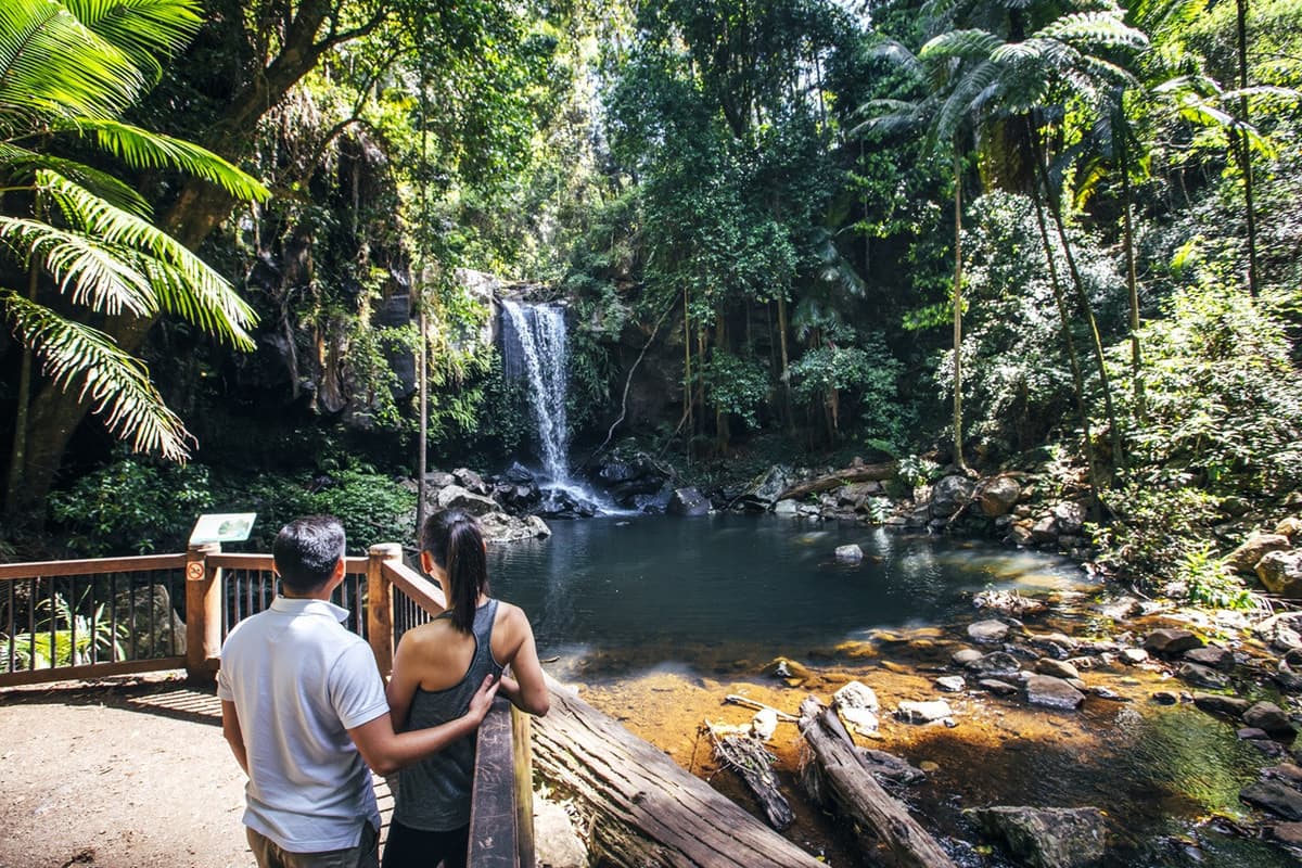 Tamborine Mountain Guided Walk and Wine Tasting Tour