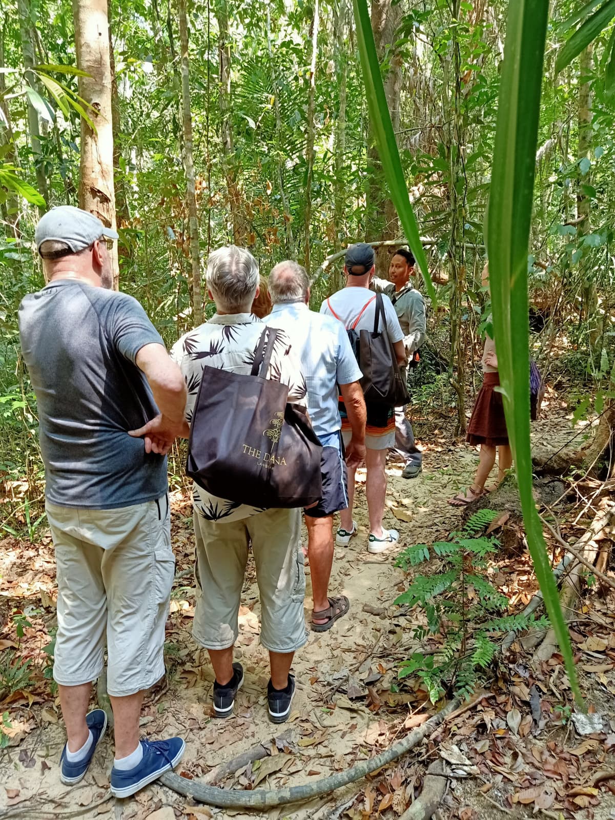 Langkawi Rainforest Trekking