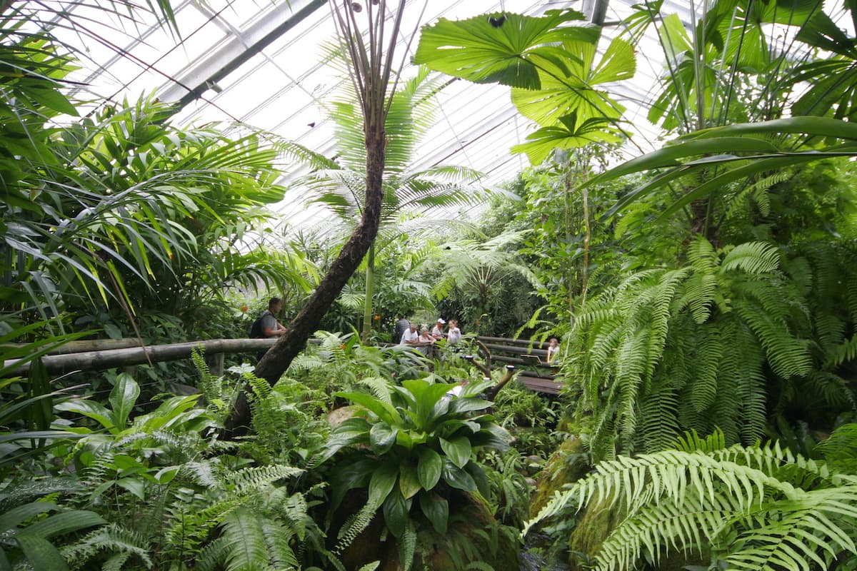 Australian Butterfly Sanctuary