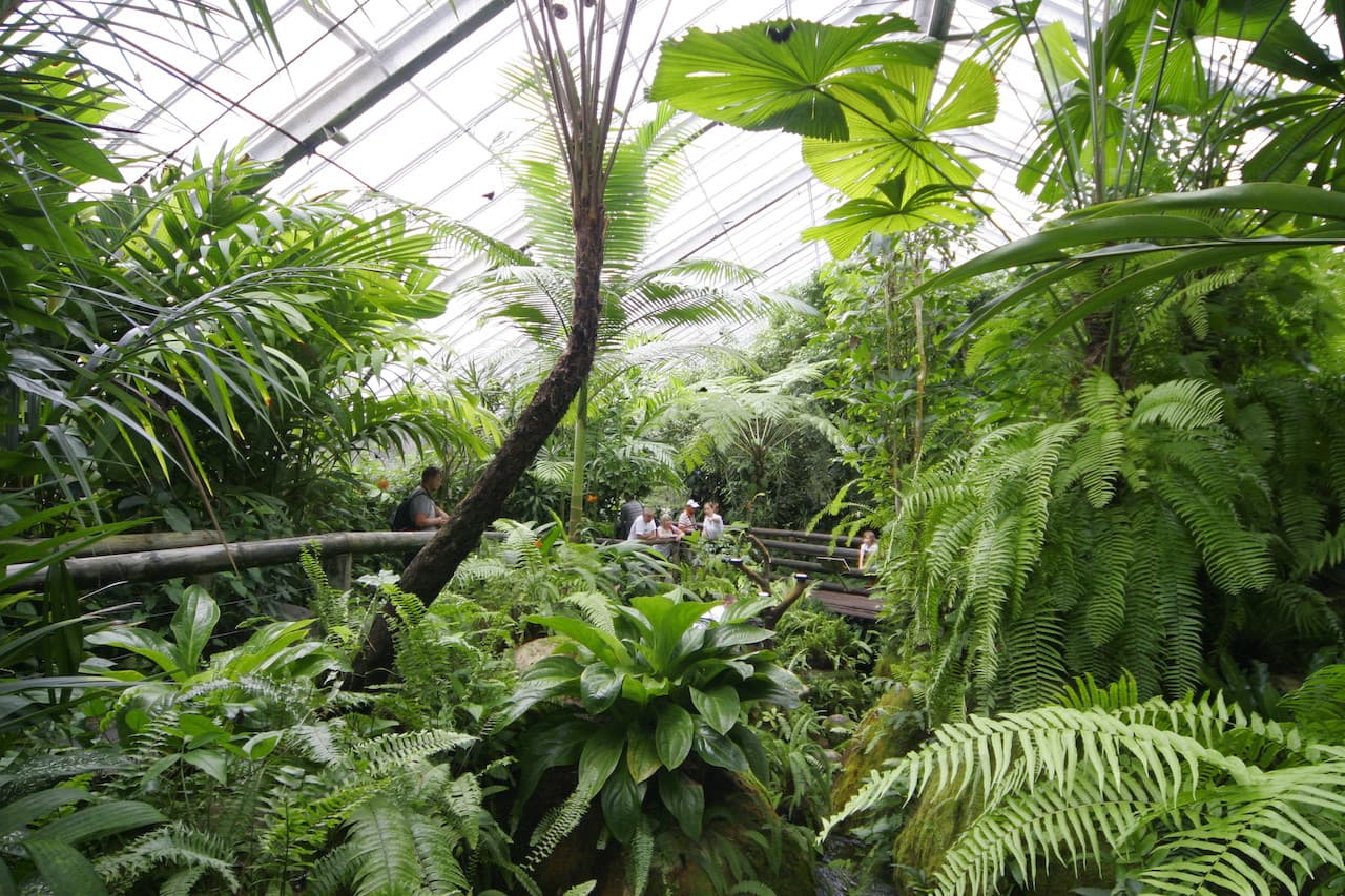 Australian Butterfly Sanctuary