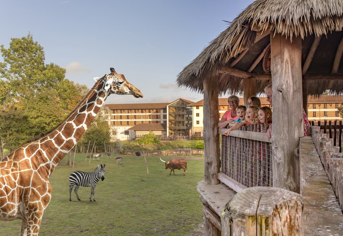 London Explorer Pass: Save up to 50% on Attractions