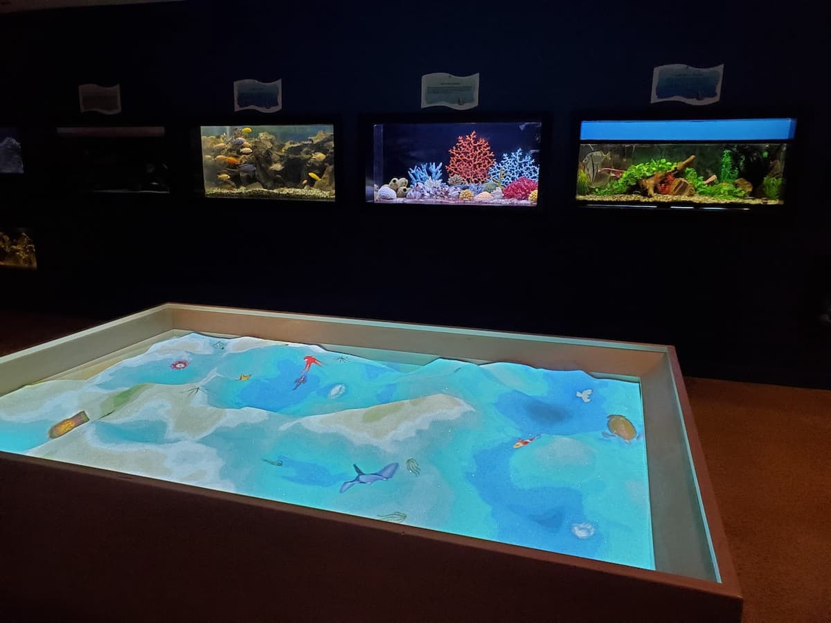 Las Vegas Natural History Museum