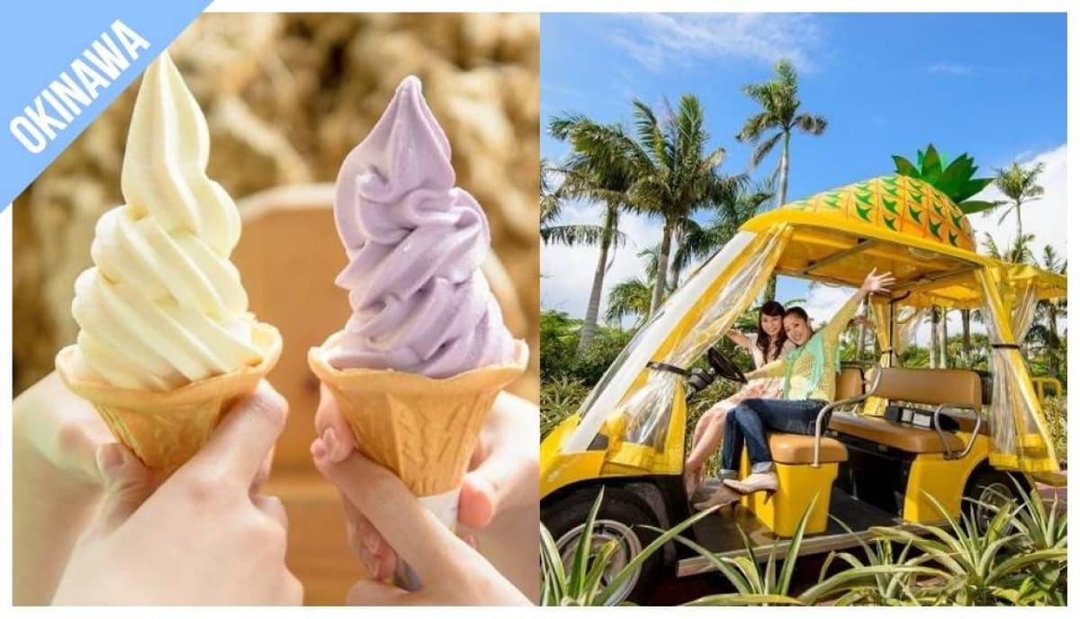 Have Fun in Okinawa Pass - 1 Week Free Pass