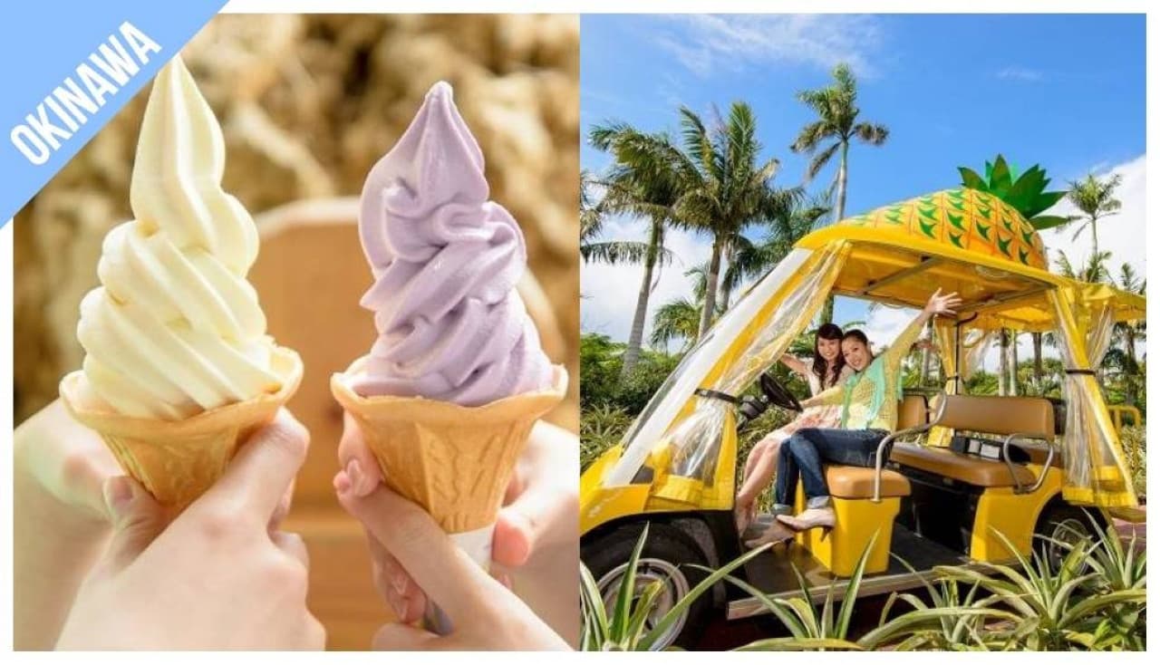 Have Fun in Okinawa Pass - 1 Week Free Pass