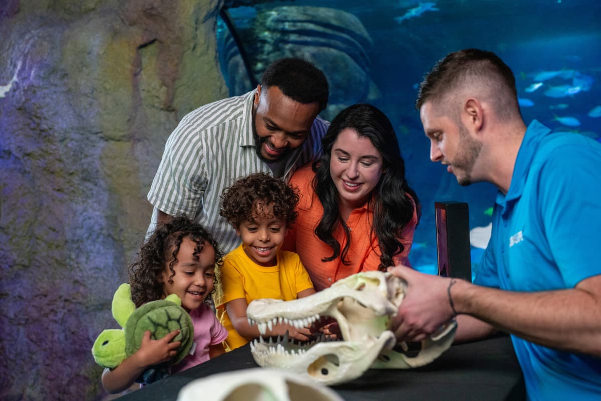 SEA LIFE Orlando Aquarium Ticket