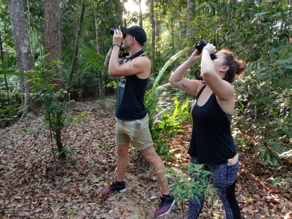 Langkawi Birdwatching Experience with Round Trip Transfer