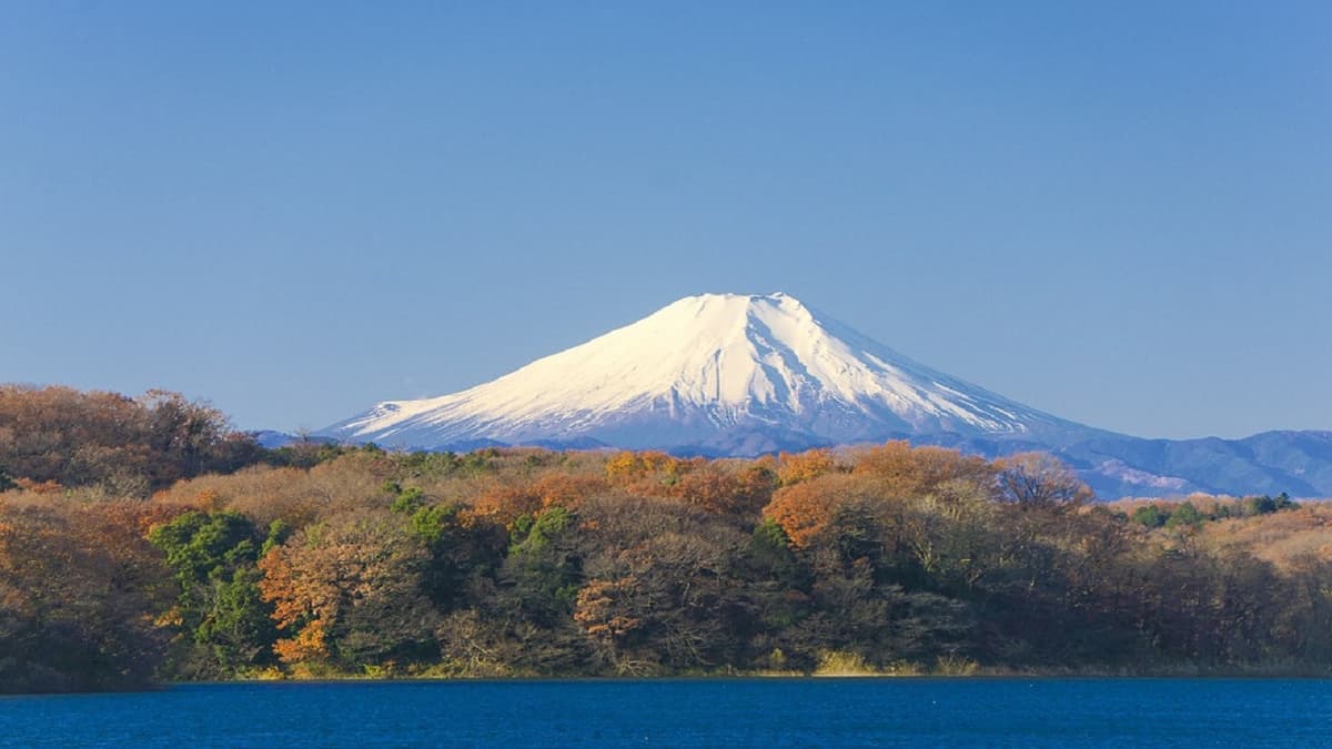 Mount Fuji and Hakone Tour