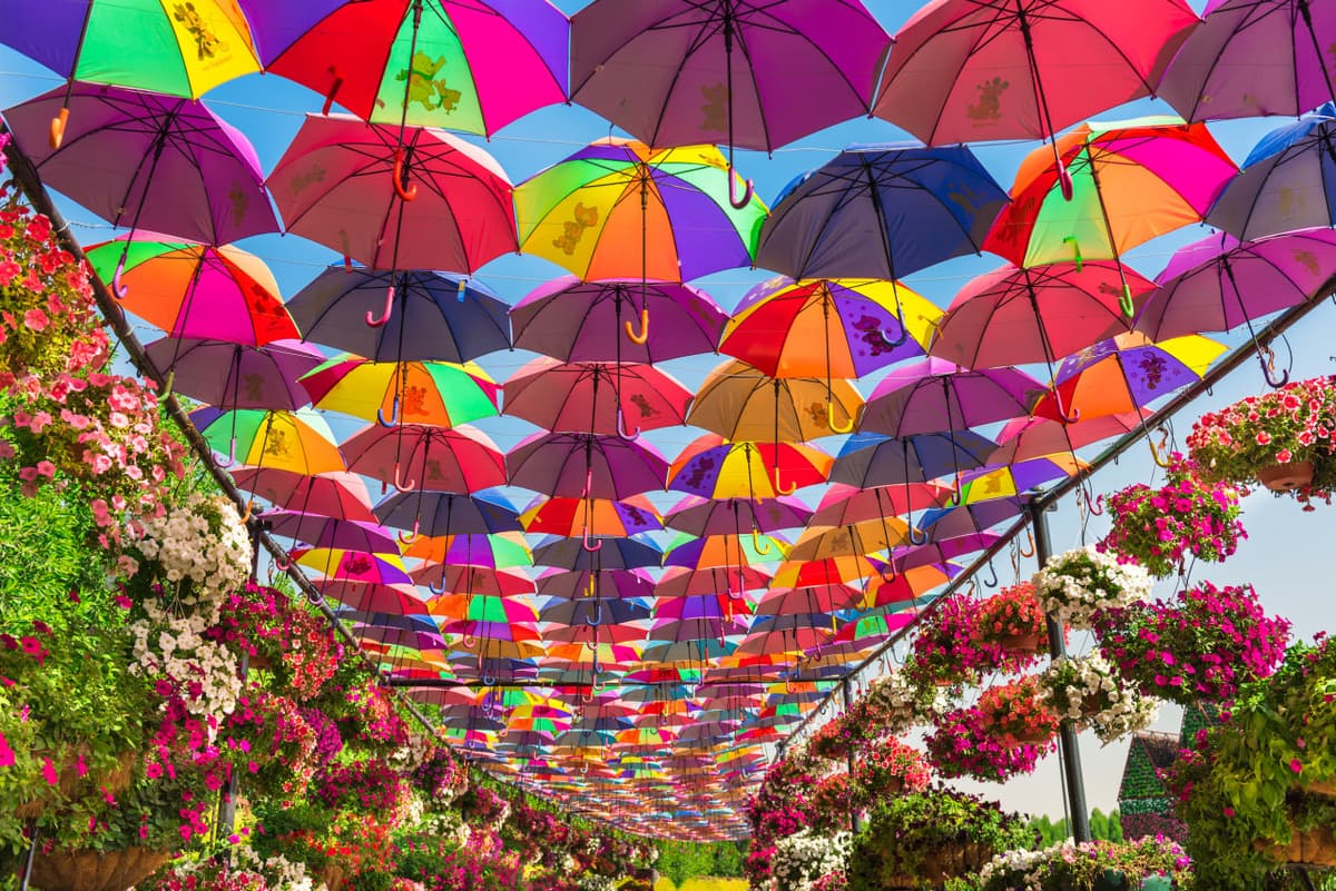 COMBO: Dubai Miracle Garden + Global Village Dubai Tickets
