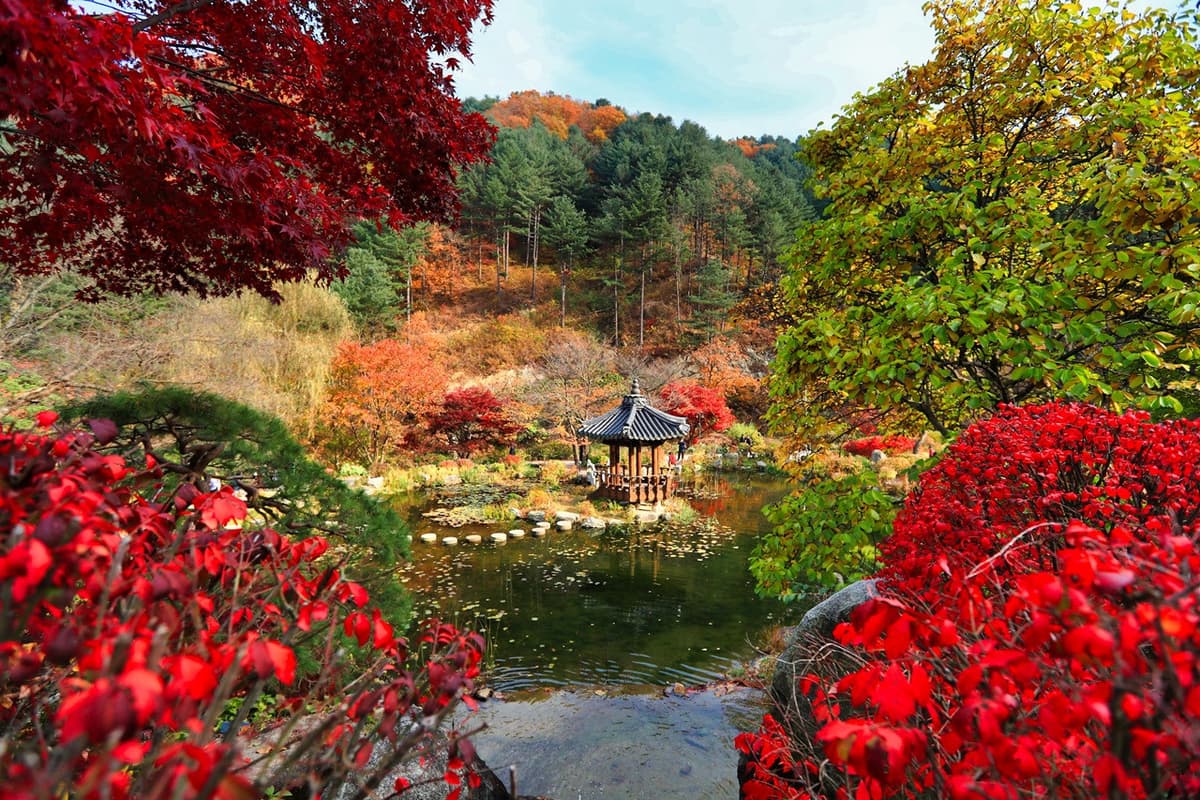 Nami Island, Mount Seorak, and Garden of Morning Calm Full-Day Tour from Seoul