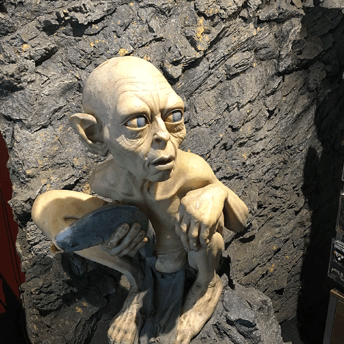 Lord of the Rings Tour at Wellington
