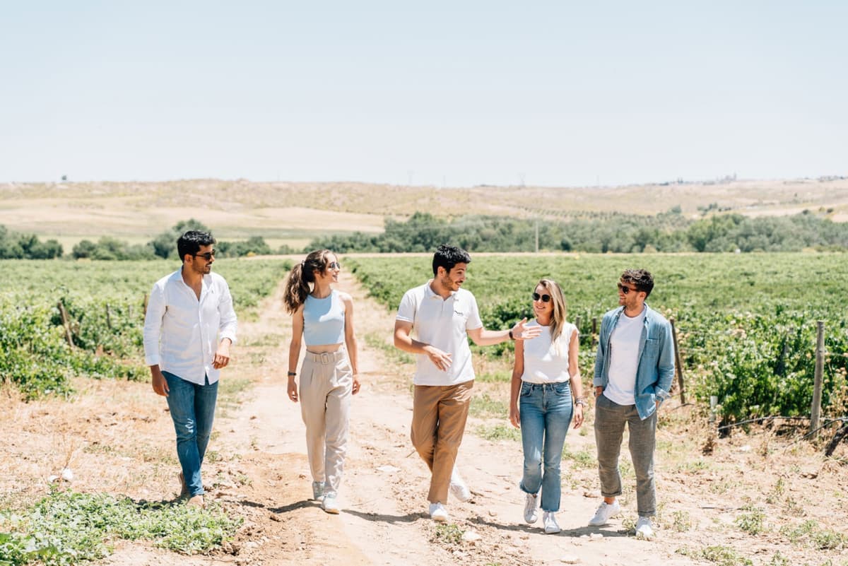 Toledo City Tour from Madrid with Wine Tasting Experience