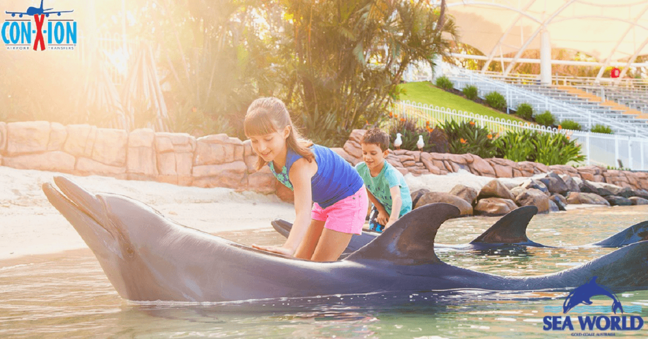 Gold Coast Attractions Shared Transfers