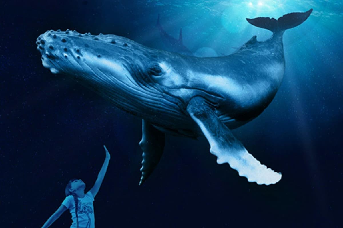 Palma Aquarium: Skip The Line Ticket + Optional 3D Cinema Aquadome