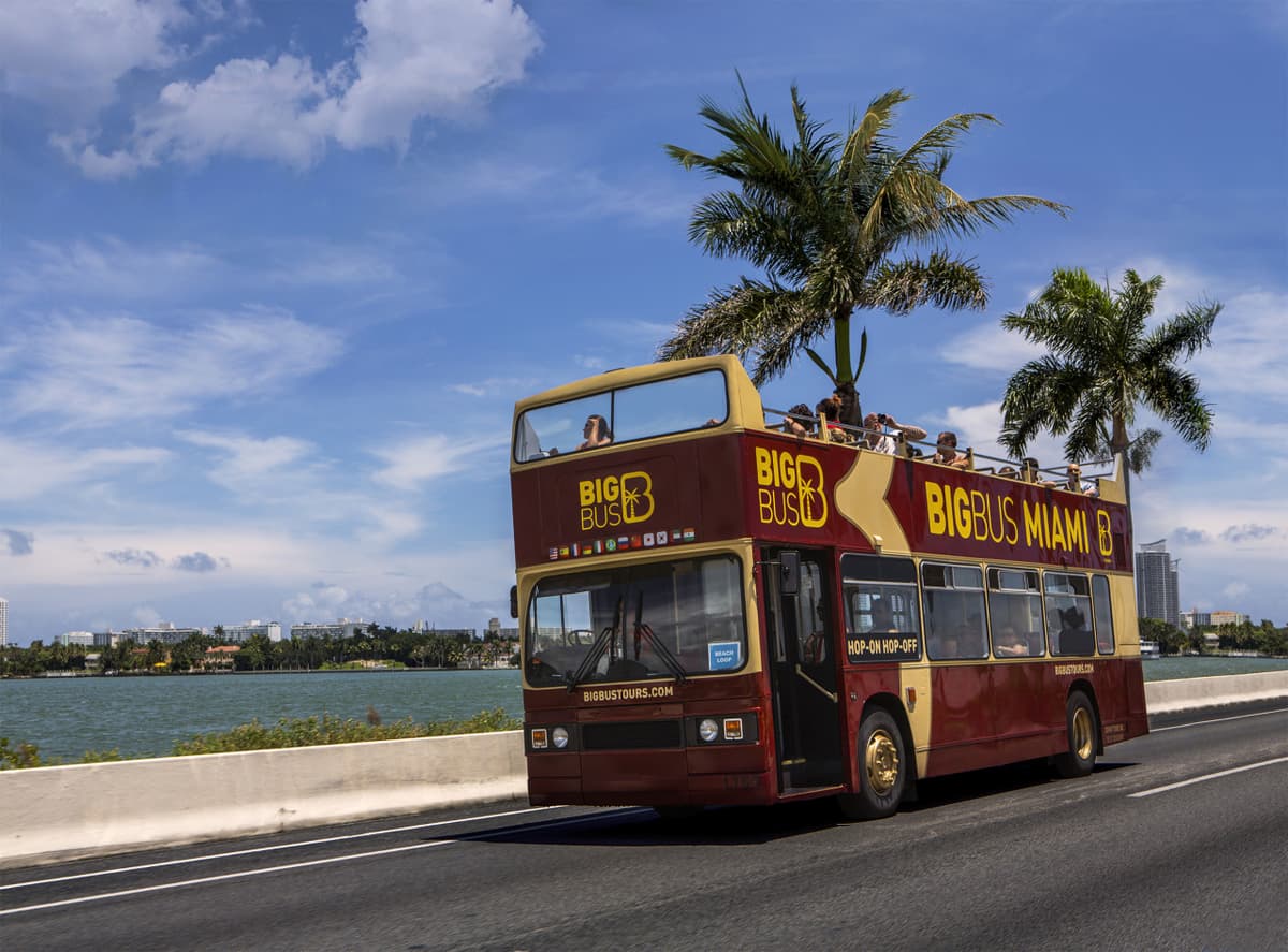 Go City Miami All-Inclusive Pass: Save up to 50% on Attractions