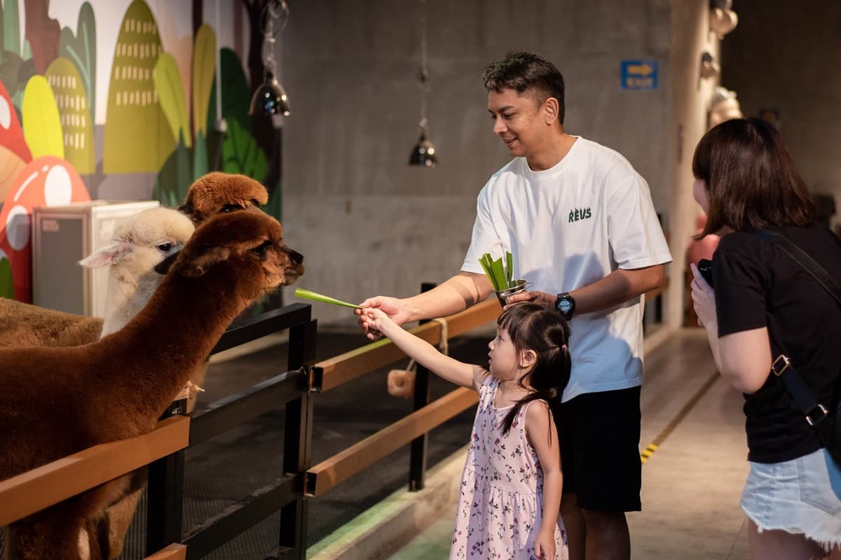 Just Farm at Just Pets Megastore