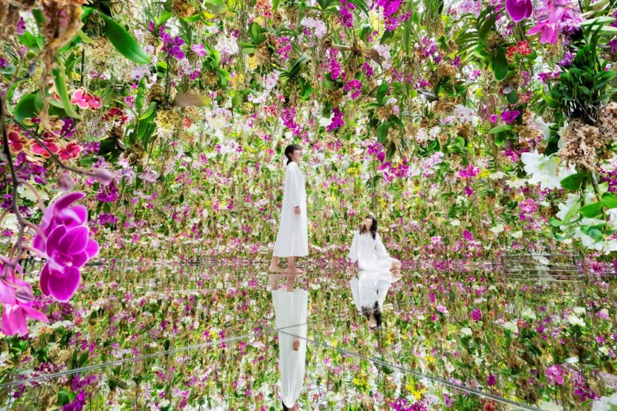 COMBO: Tokyo Skytree + teamLab Planets TOKYO Tickets