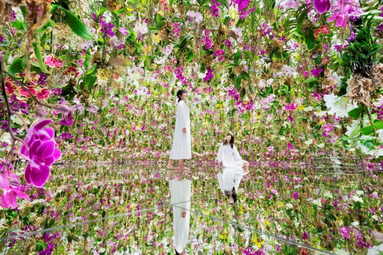COMBO: Tokyo Skytree + teamLab Planets TOKYO Tickets