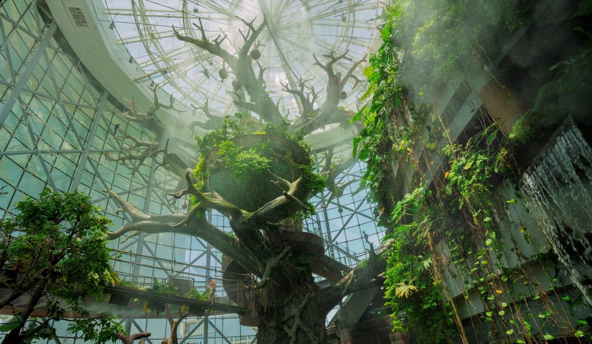 The Green Planet Dubai Ticket