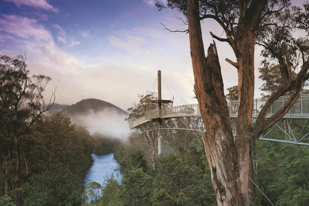 Huon Valley Tour