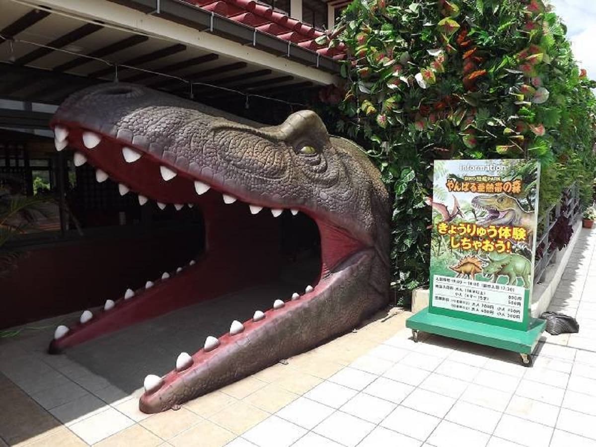 Okinawa Dino Park Yanbaru Subtropical Forest Ticket