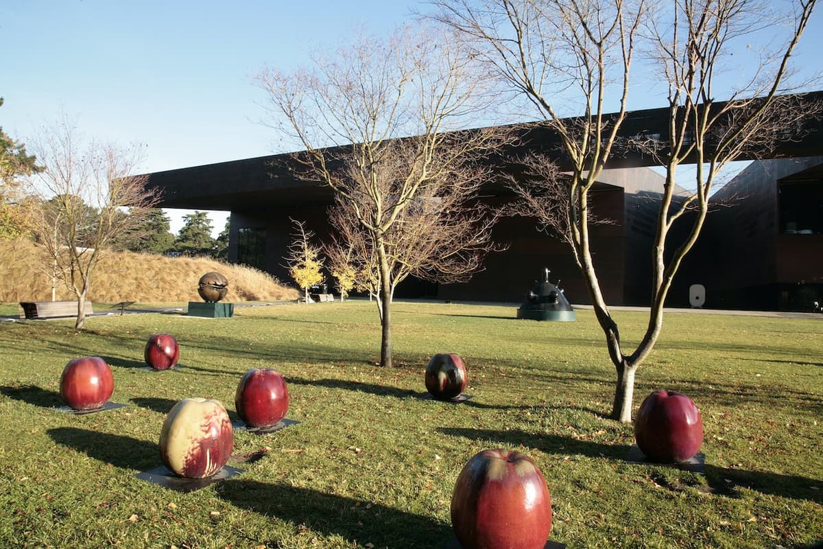 de Young Museum