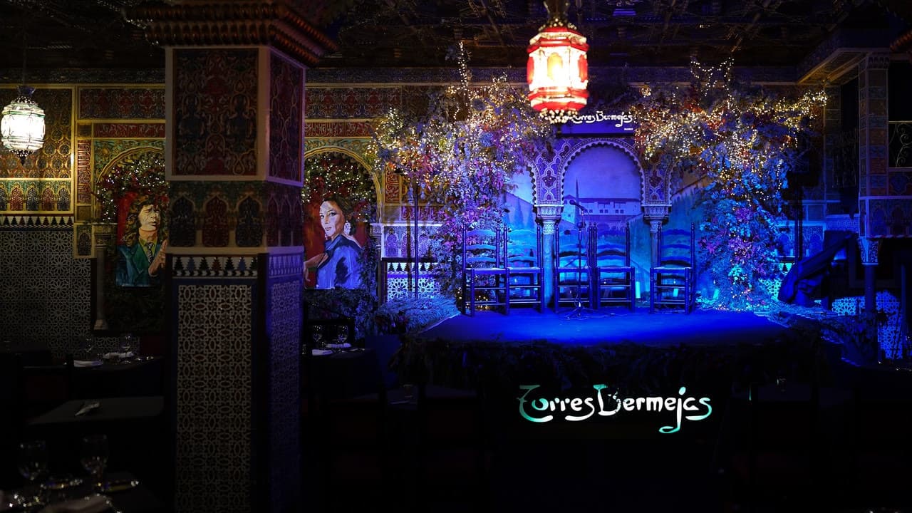 Flamenco Show at Tablao Torres Bermejas