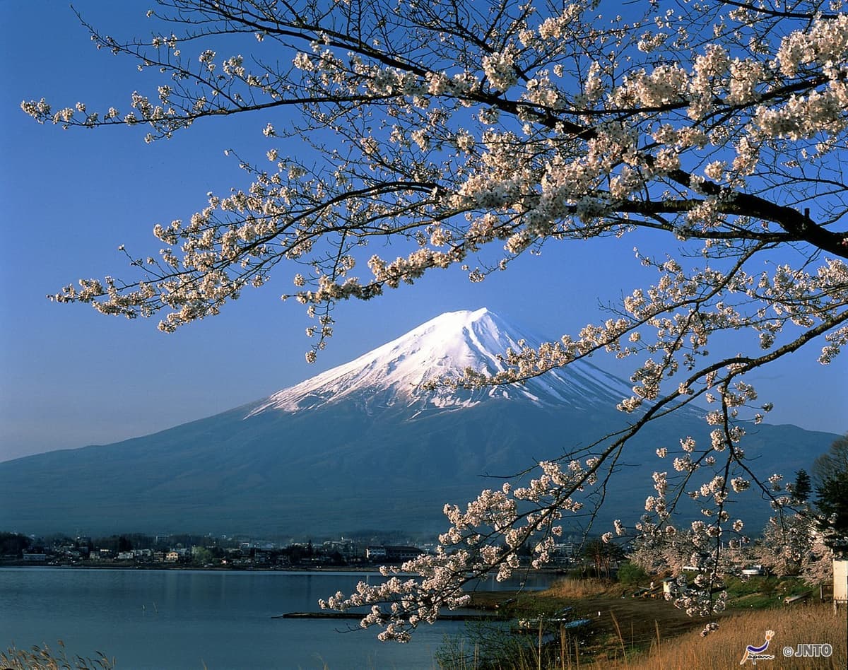 Mount Fuji and Oshino Hakkai Ole Hot Spring Full-Day Tour from Tokyo