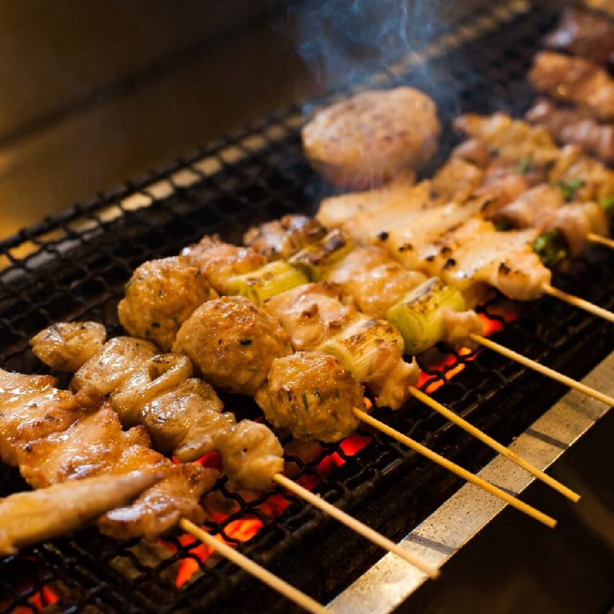 Tokyo Hidden Gem Food Tour in Shinbashi