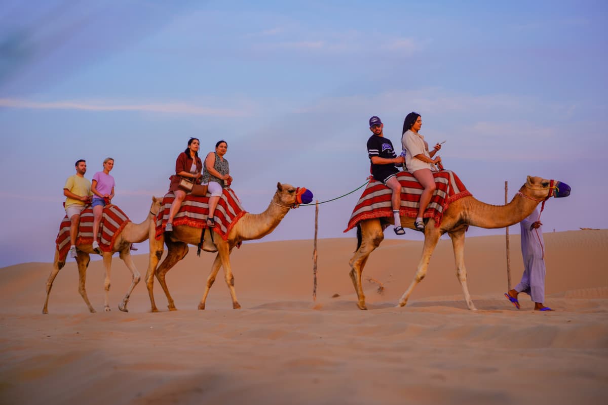 Half-Day Desert Safari, Camel Ride with Refreshments