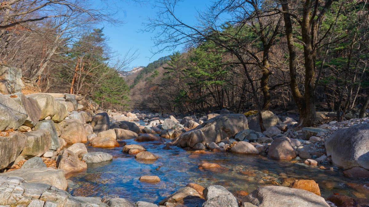 Mount Seorak and Naksansa Temple Tour from Seoul