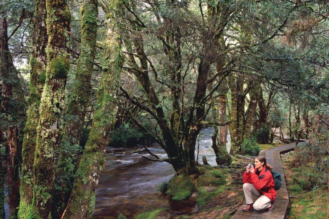 Cradle Mountain National Park