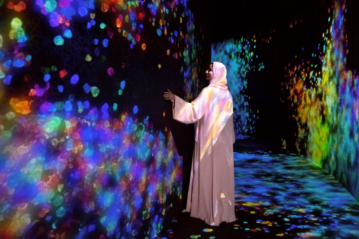 COMBO: Louvre Abu Dhabi + teamLab Phenomena + Big Bus Abu Dhabi Hop-on Hop-off Bus Tour