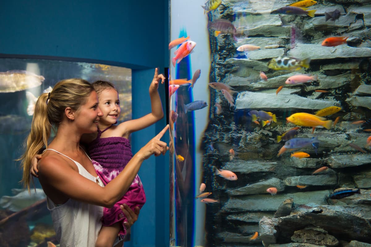 Go City Cancun All-Inclusive Pass: Save up to 50% on Attractions