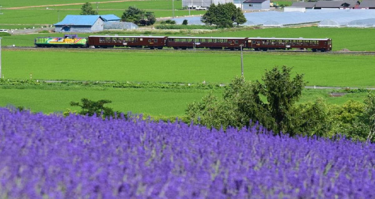 Hokkaido Sapporo-Noboribetsu Area Pass